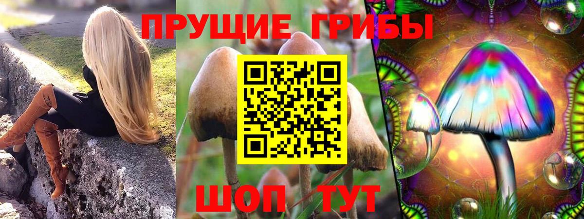 Псилоцибиновые грибы ЛСД  Галлюциногенные грибы Psilocybine cubensis  Вход с VPN  Мыски 